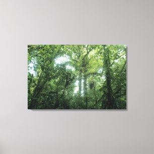 Monteverde Cloud Forest, Costa Rica. Canvas Print