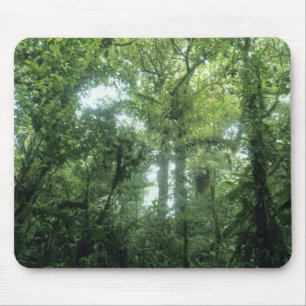Monteverde Cloud Forest, Costa Rica. Mouse Mat