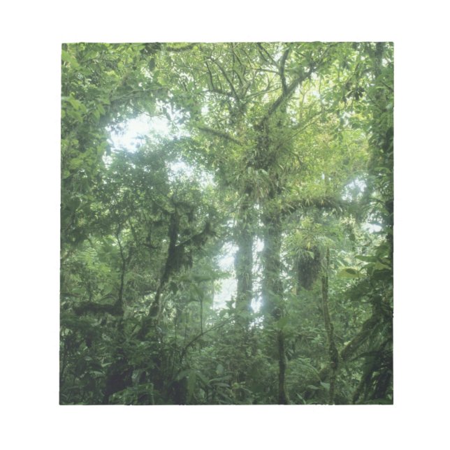 Monteverde Cloud Forest, Costa Rica. Notepad (Front)
