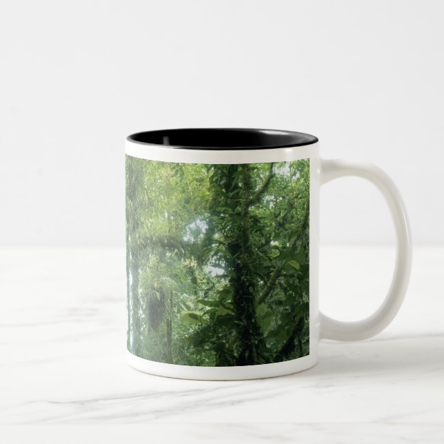 Monteverde Cloud Forest, Costa Rica. Two-Tone Coffee Mug (Right)