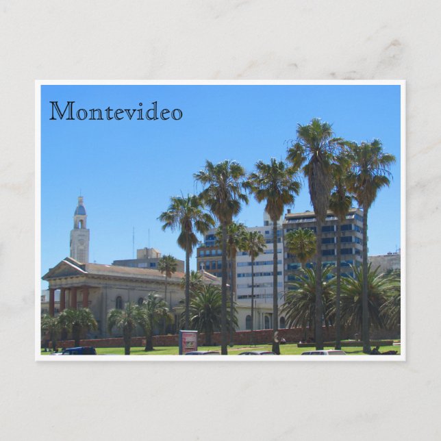 montevideo cathedral postcard (Front)