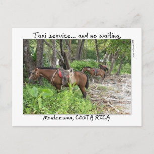 Montezuma, Costa Rica Postcard