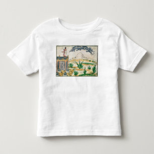 Montezuma II watching a comet, 1579 Toddler T-Shirt