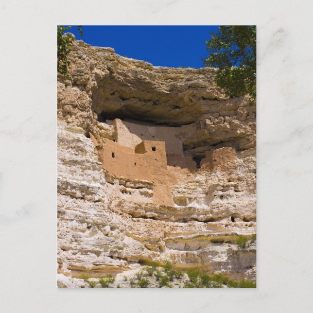 Montezuma's Castle National Monument Postcard (Front)
