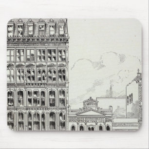 Montgomery East side Pine and California Mouse Mat