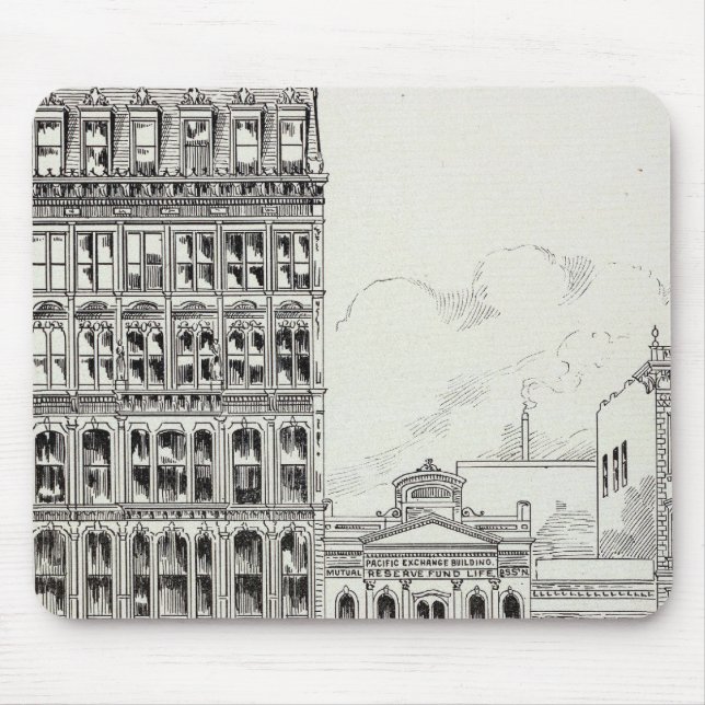 Montgomery East side Pine and California Mouse Mat (Front)