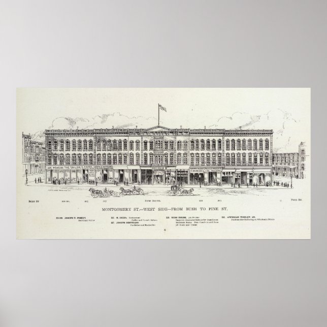 Montgomery West side Bush and Pine Poster (Front)
