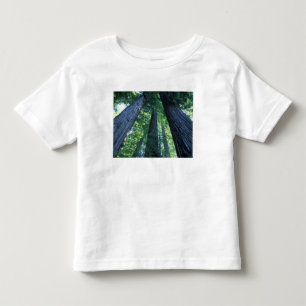 Montgomery Woods State Reserve, California. Toddler T-Shirt