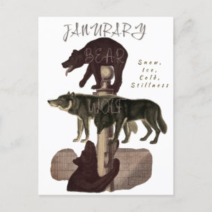 Month of January Animals and Elements Postcard