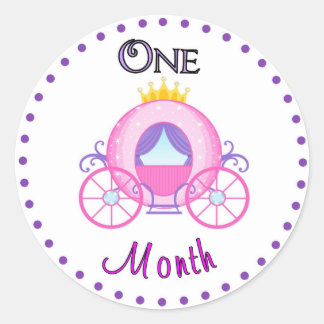 Monthly Baby Sticker Custom Personalised