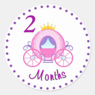 Monthly Baby Sticker Custom Personalised