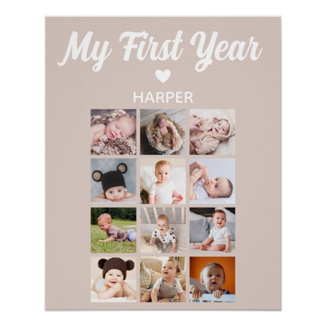 Monthly Photo Baby First Birthday Poster (Front)