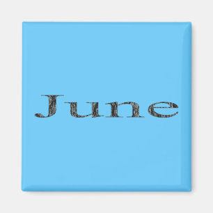 Months of the Year - June Magnet