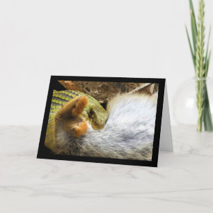 Montpellier Snake Feasting on Rabbit Card