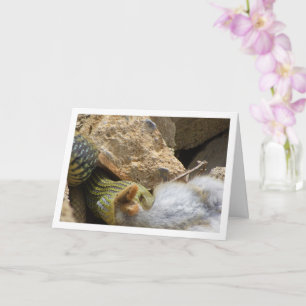 Montpellier Snake Feasting on Rabbit Card