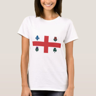 Montreal flag T-Shirt