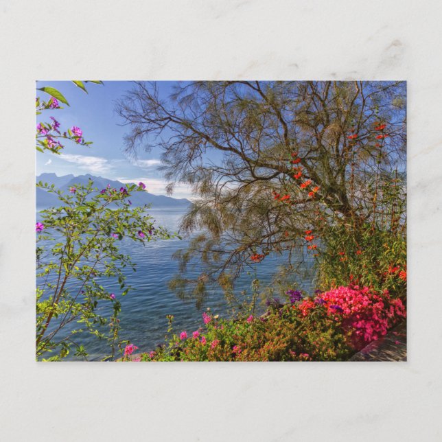 Montreux lakeshore, Switzerland Postcard (Front)