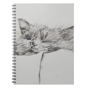 Monty sleepy boy notebook