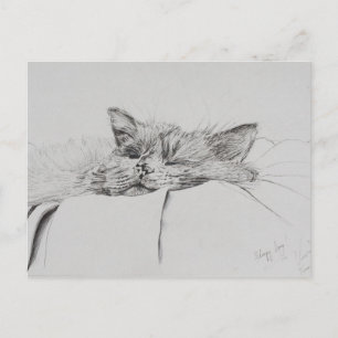Monty sleepy boy postcard