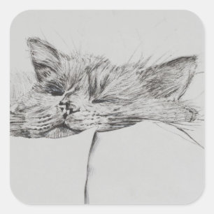 Monty sleepy boy square sticker