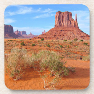 Monument Valley Arizona Coaster