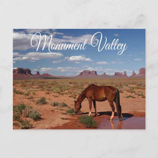 Monument Valley Navajo Tribal Park Utah USA Postcard (Front)