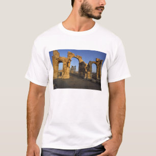 Monumental Arch, Palmyra, Homs, Syria T-Shirt