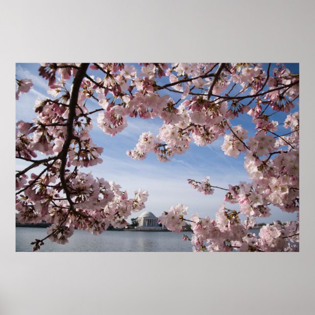 Monuments | Jefferson Memorial Cherry Blossoms Poster (Front)