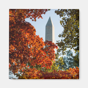 Monuments   Washington Monument in Autumn Magnet