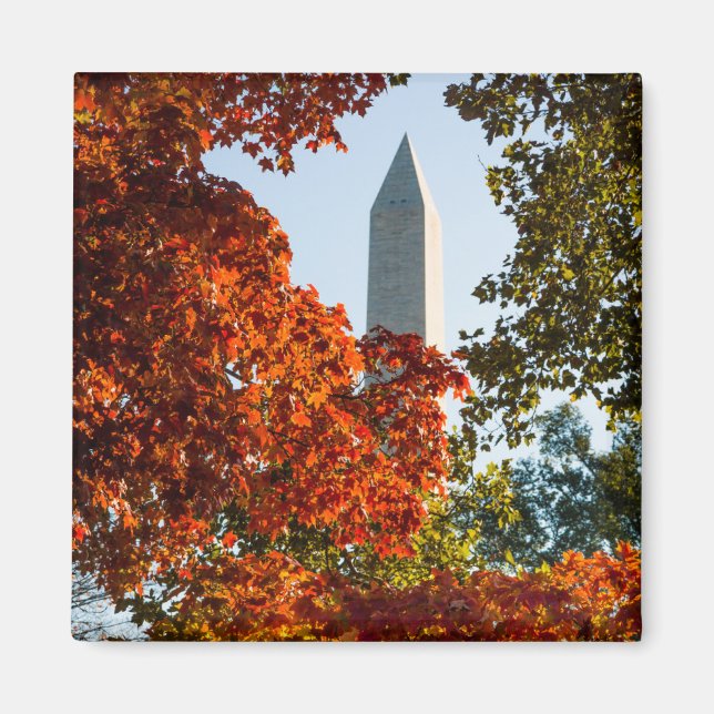 Monuments | Washington Monument in Autumn Magnet (Front)