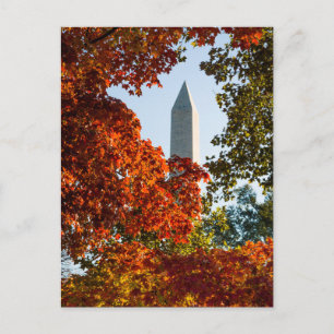 Monuments   Washington Monument in Autumn Postcard