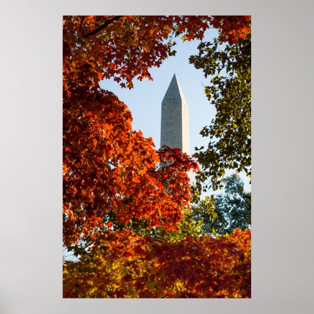 Monuments | Washington Monument in Autumn Poster (Front)