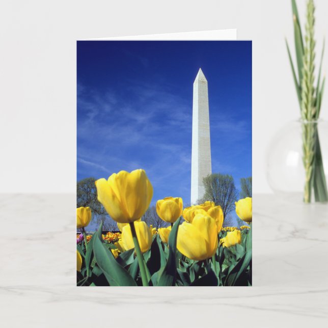 Monuments | Washington Monument in Spring Card (Front)