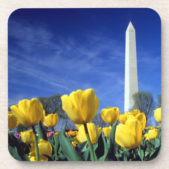 Monuments | Washington Monument in Spring Coaster (Front)