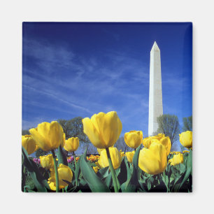 Monuments Washington Monument in Spring Magnet