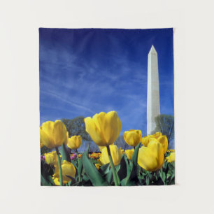 Monuments   Washington Monument in Spring Tapestry