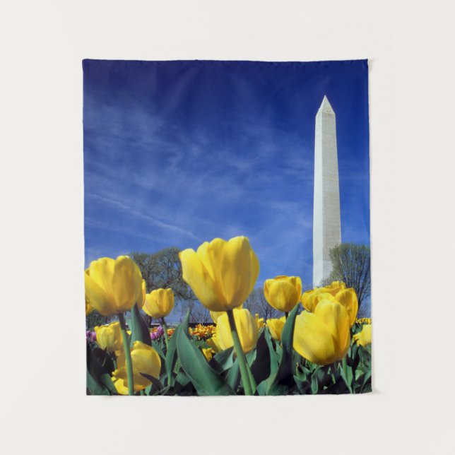 Monuments | Washington Monument in Spring Tapestry (Front)