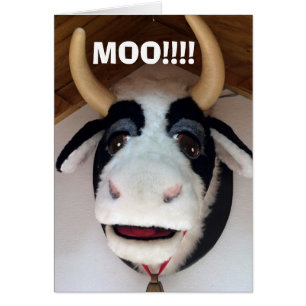 MOO-"40" IS SOMETHING TO MOO ABOUT TALKING COW