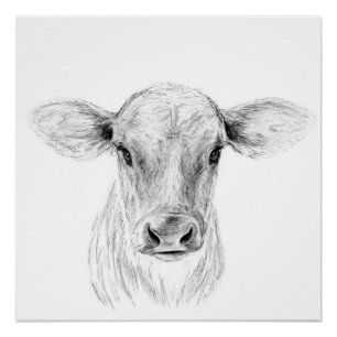 Moo A Young Jersey Cow Poster