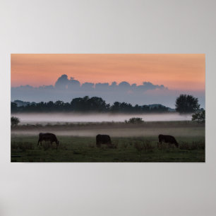 Moo-chigan Sunset Poster
