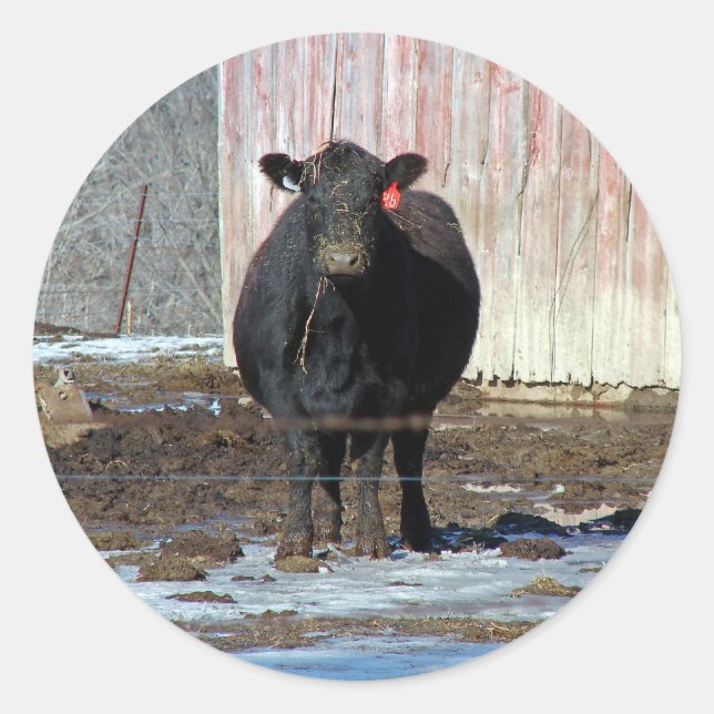 Moo Classic Round Sticker (Front)