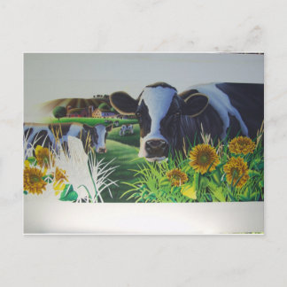 Moo Cow With SunFlowers Postcard
