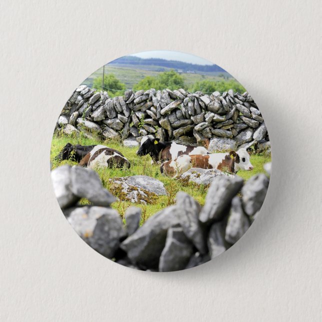 Moo Cows 6 Cm Round Badge (Front)