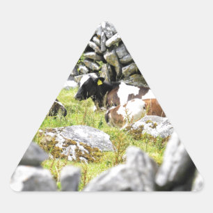 Moo Cows Triangle Sticker