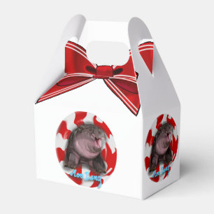 Moo Deng Hippo  Favour Box