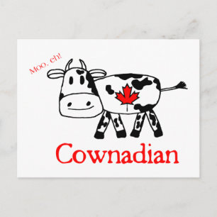Moo, Eh Postcard