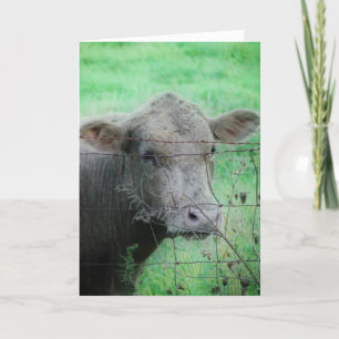 Moo! How ya doing? Card