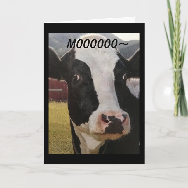***MOO*** U ARE "60" HOW DID THAT HAPPEN CARD (Front)