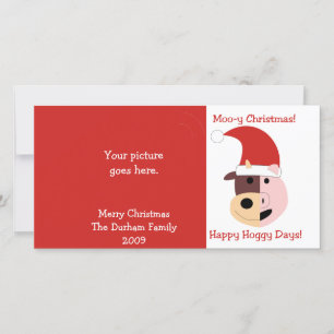 Moo-y Christmas and Happy Hoggy Days! Holiday Card