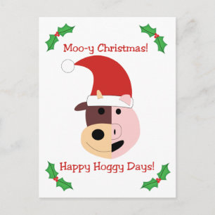 Moo-y Christmas and Happy Hoggy Days! Holiday Postcard